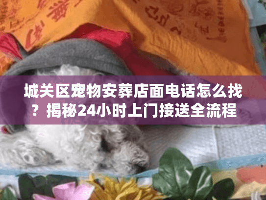 城关区宠物安葬店面电话怎么找?揭秘24小时上门接送全流程 城关区宠物安葬店面电话怎么找?揭秘24小时上门接送全流程