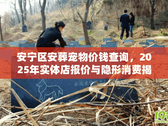 安宁区安葬宠物价钱查询，2025年实体店报价与隐形消费揭秘