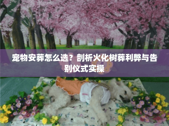 宠物安葬怎么选？剖析火化树葬利弊与告别仪式实操