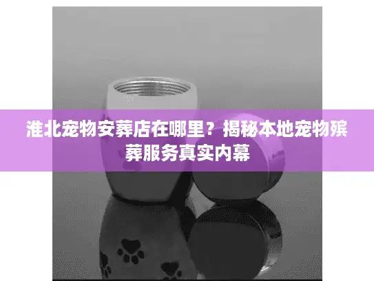淮北宠物安葬店在哪里?揭秘本地宠物殡葬服务真实内幕 淮北宠物安葬店在哪里?揭秘本地宠物殡葬服务真实内幕