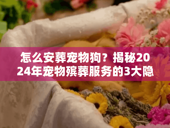 怎么安葬宠物狗？揭秘2024年宠物殡葬服务的3大隐形坑