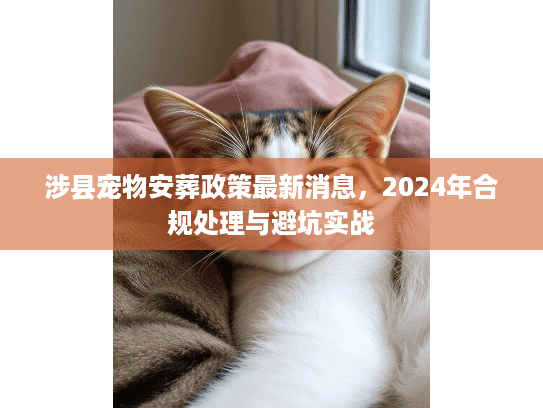 涉县宠物安葬政策最新消息,2024年合规处理与避坑实战 涉县宠物安葬政策最新消息,2024年合规处理与避坑实战