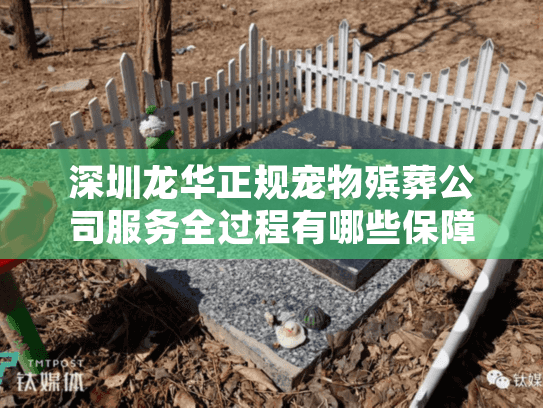 深圳龙华正规宠物殡葬公司服务全过程有哪些保障?