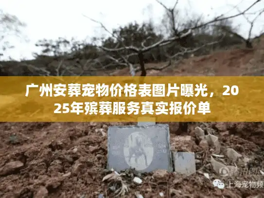 广州安葬宠物价格表图片曝光，2025年殡葬服务真实报价单