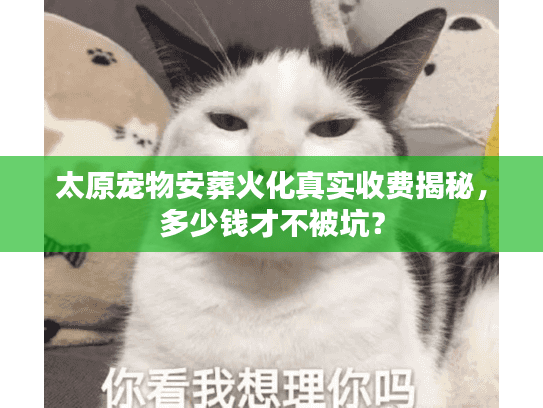 太原宠物安葬火化真实收费揭秘,多少钱才不被坑? 太原宠物安葬火化真实收费揭秘,多少钱才不被坑?