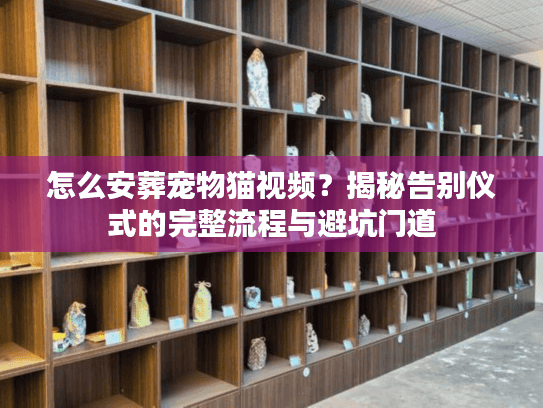 怎么安葬宠物猫视频？揭秘告别仪式的完整流程与避坑门道