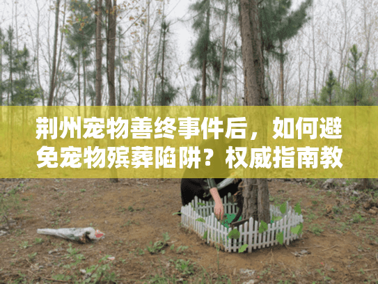 荆州宠物善终事件后，如何避免宠物殡葬陷阱？权威指南教你避坑