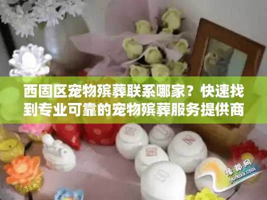 西固区宠物殡葬联系哪家？快速找到专业可靠的宠物殡葬服务提供商