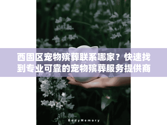 西固区宠物殡葬联系哪家？快速找到专业可靠的宠物殡葬服务提供商
