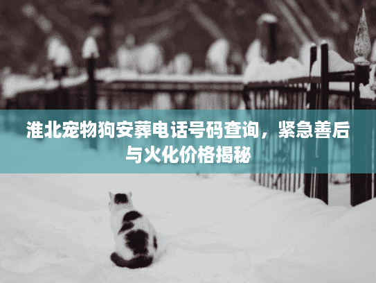淮北宠物狗安葬电话号码查询，紧急善后与火化价格揭秘