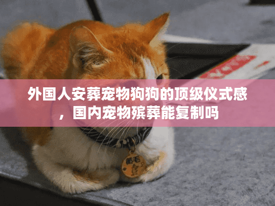 外国人安葬宠物狗狗的顶级仪式感,国内宠物殡葬能复制吗 外国人安葬宠物狗狗的顶级仪式感,国内宠物殡葬能复制吗