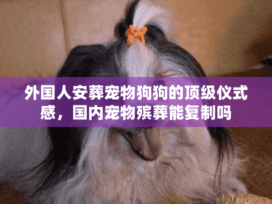 外国人安葬宠物狗狗的顶级仪式感,国内宠物殡葬能复制吗 外国人安葬宠物狗狗的顶级仪式感,国内宠物殡葬能复制吗