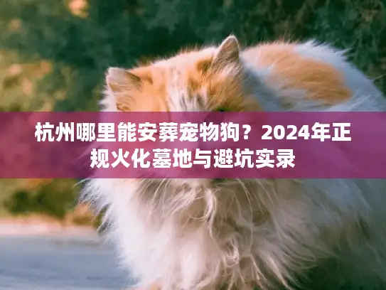 杭州哪里能安葬宠物狗？2024年正规火化墓地与避坑实录