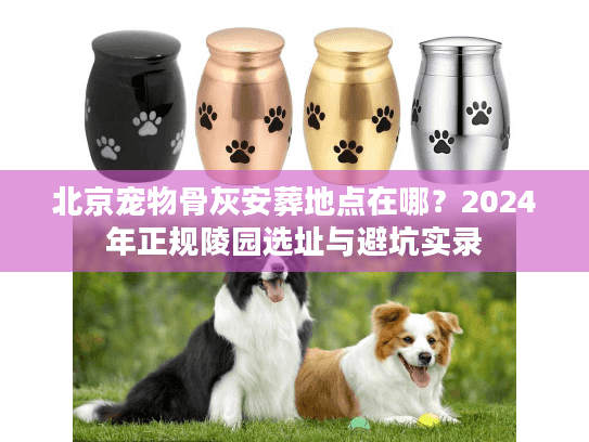 北京宠物骨灰安葬地点在哪？2024年正规陵园选址与避坑实录