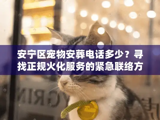 安宁区宠物安葬电话多少？寻找正规火化服务的紧急联络方式