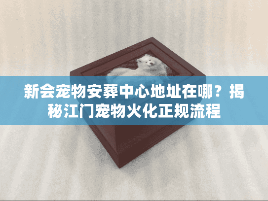 新会宠物安葬中心地址在哪？揭秘江门宠物火化正规流程