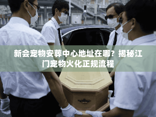 新会宠物安葬中心地址在哪？揭秘江门宠物火化正规流程
