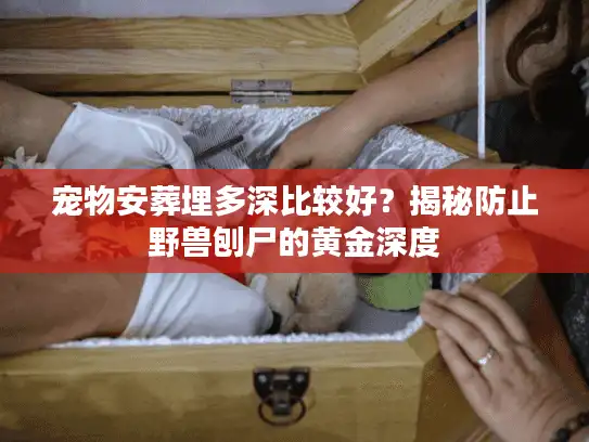 宠物安葬埋多深比较好?揭秘防止野兽刨尸的黄金深度 宠物安葬埋多深比较好?揭秘防止野兽刨尸的黄金深度