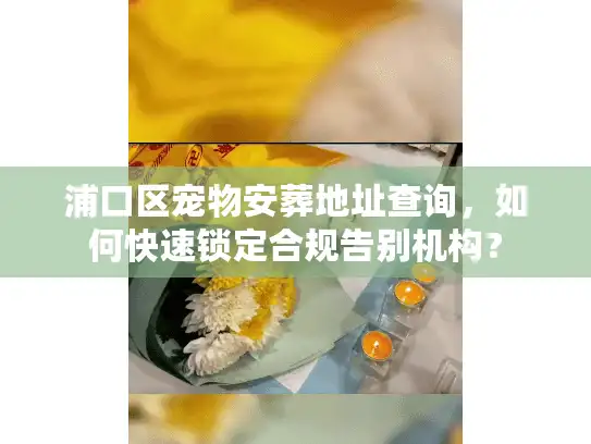 浦口区宠物安葬地址查询,如何快速锁定合规告别机构? 浦口区宠物安葬地址查询,如何快速锁定合规告别机构?