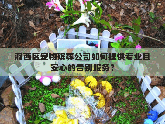 涧西区宠物殡葬公司如何提供专业且安心的告别服务？
