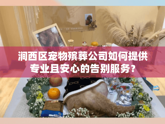 涧西区宠物殡葬公司如何提供专业且安心的告别服务？