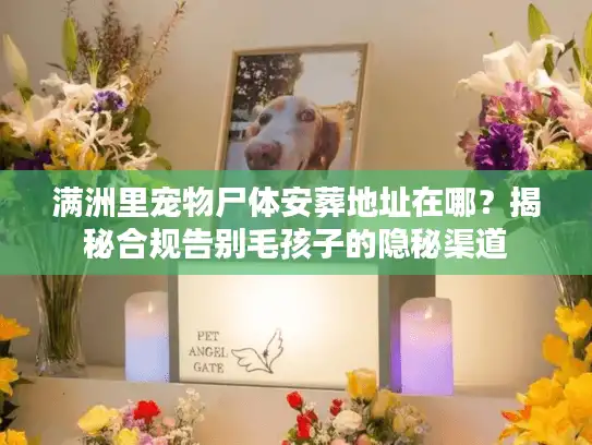 满洲里宠物尸体安葬地址在哪？揭秘合规告别毛孩子的隐秘渠道