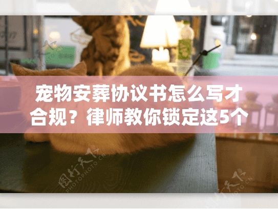 宠物安葬协议书怎么写才合规?律师教你锁定这5个关键点 宠物安葬协议书怎么写才合规?律师教你锁定这5个关键点