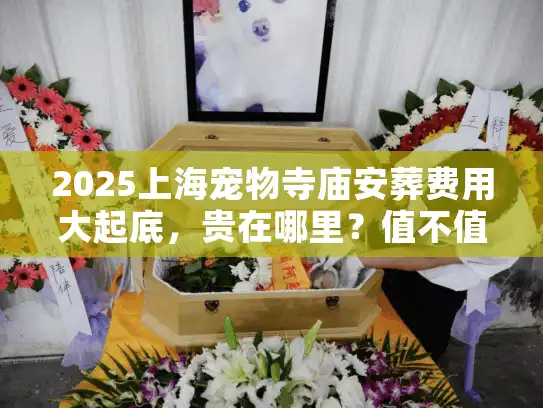 2025上海宠物寺庙安葬费用大起底，贵在哪里？值不值？