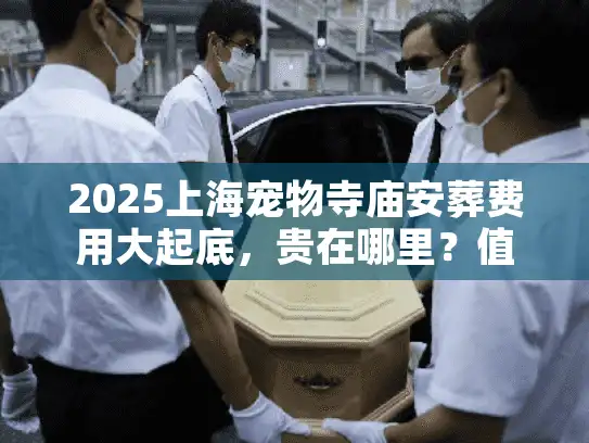 2025上海宠物寺庙安葬费用大起底，贵在哪里？值不值？