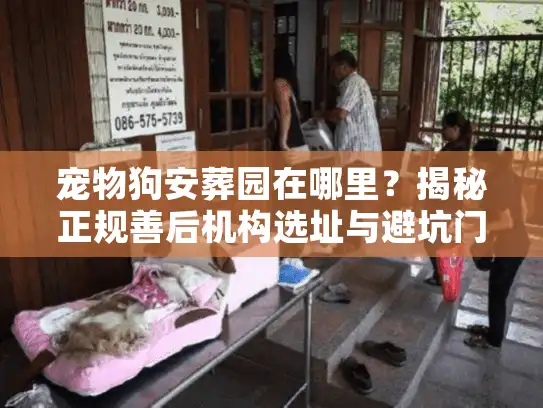 宠物狗安葬园在哪里？揭秘正规善后机构选址与避坑门道