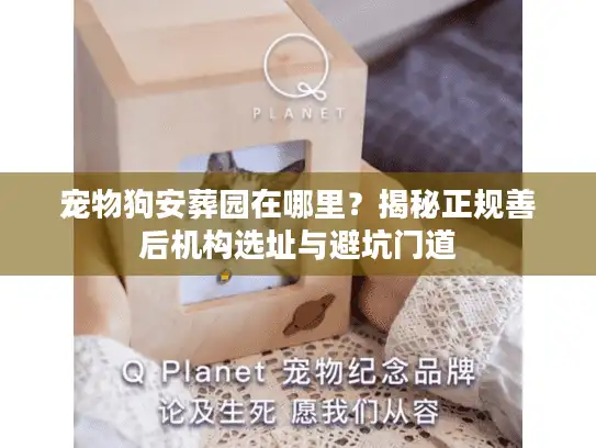 宠物狗安葬园在哪里？揭秘正规善后机构选址与避坑门道