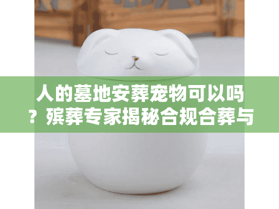 人的墓地安葬宠物可以吗?殡葬专家揭秘合规合葬与替代方案 人的墓地安葬宠物可以吗?殡葬专家揭秘合规合葬与替代方案