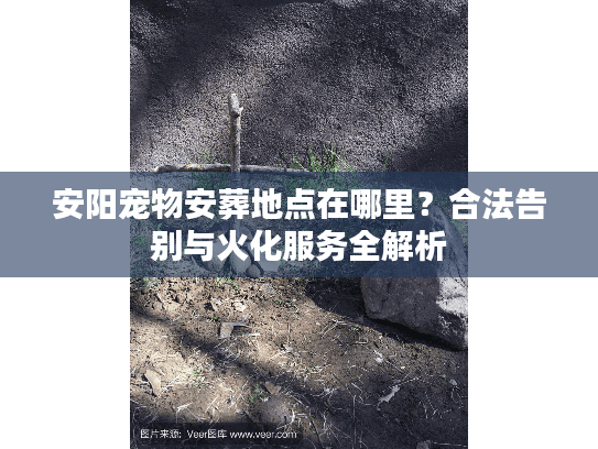 安阳宠物安葬地点在哪里？合法告别与火化服务全解析