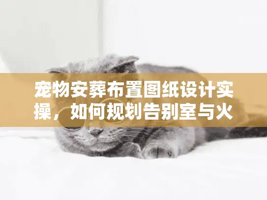 宠物安葬布置图纸设计实操，如何规划告别室与火化区的黄金动线？