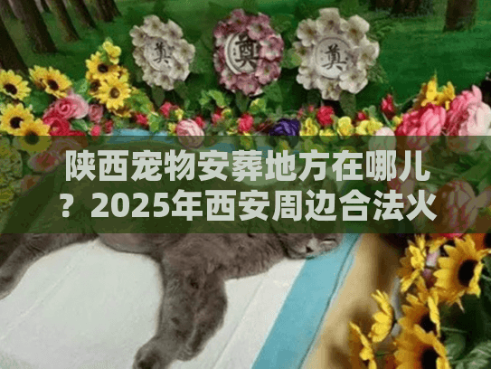 陕西宠物安葬地方在哪儿？2025年西安周边合法火化场全收录与避坑实招
