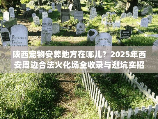 陕西宠物安葬地方在哪儿？2025年西安周边合法火化场全收录与避坑实招