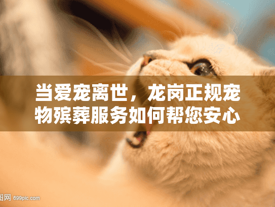 当爱宠离世,龙岗正规宠物殡葬服务如何帮您安心送别? 当爱宠离世,龙岗正规宠物殡葬服务如何帮您安心送别?