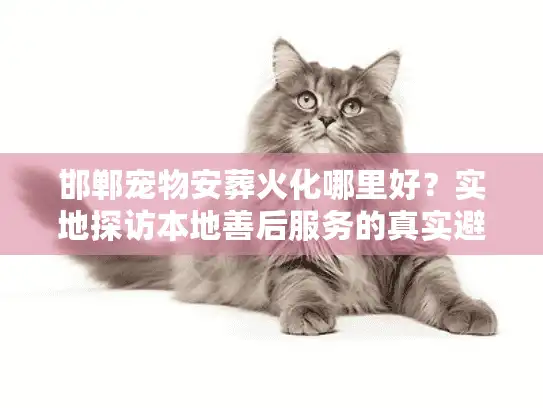 邯郸宠物安葬火化哪里好？实地探访本地善后服务的真实避坑实录