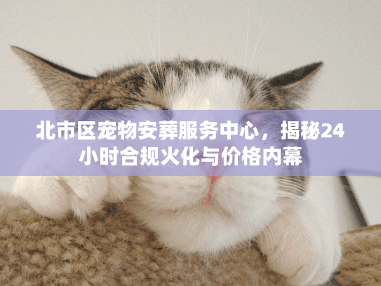 北市区宠物安葬服务中心，揭秘24小时合规火化与价格内幕