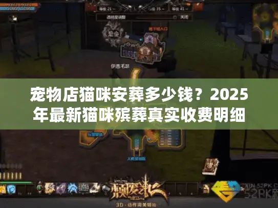 宠物店猫咪安葬多少钱?2025年最新猫咪殡葬真实收费明细 宠物店猫咪安葬多少钱?2025年最新猫咪殡葬真实收费明细