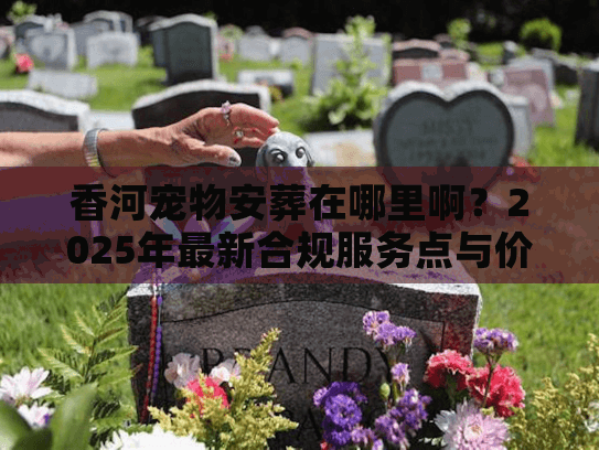 香河宠物安葬在哪里啊？2025年最新合规服务点与价格内幕