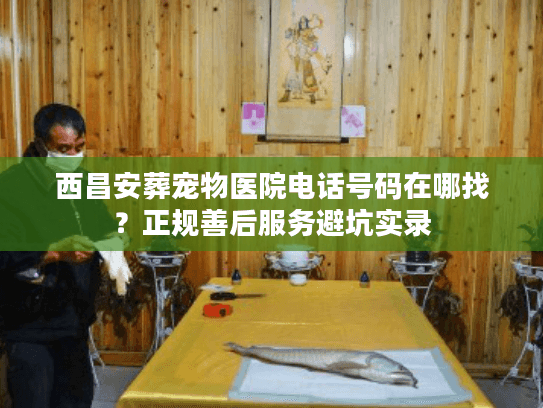 西昌安葬宠物医院电话号码在哪找？正规善后服务避坑实录