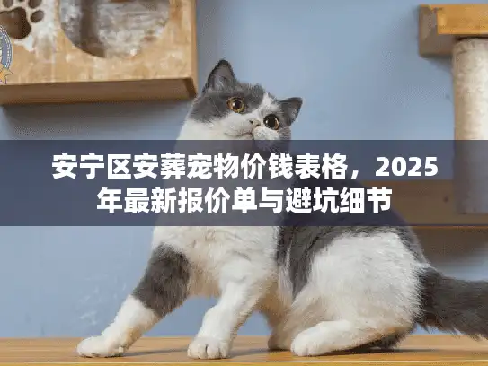 安宁区安葬宠物价钱表格，2025年最新报价单与避坑细节