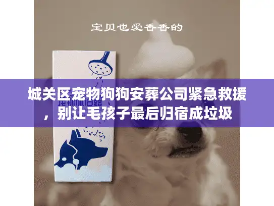 城关区宠物狗狗安葬公司紧急救援，别让毛孩子最后归宿成垃圾