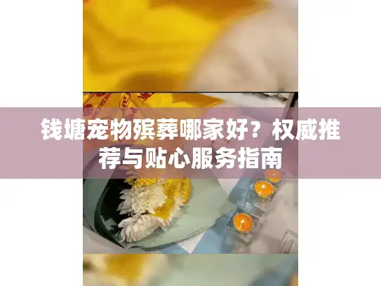 钱塘宠物殡葬哪家好？权威推荐与贴心服务指南