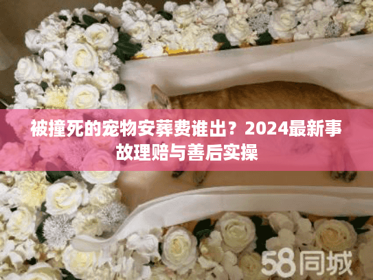 被撞死的宠物安葬费谁出？2024最新事故理赔与善后实操