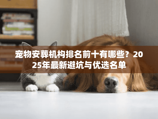 宠物安葬机构排名前十有哪些？2025年最新避坑与优选名单