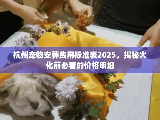 杭州宠物安葬费用标准表2025,揭秘火化前必看的价格明细 杭州宠物安葬费用标准表2025,揭秘火化前必看的价格明细