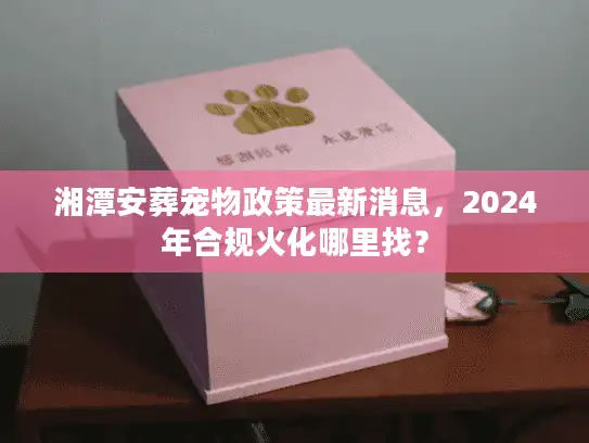 湘潭安葬宠物政策最新消息，2024年合规火化哪里找？