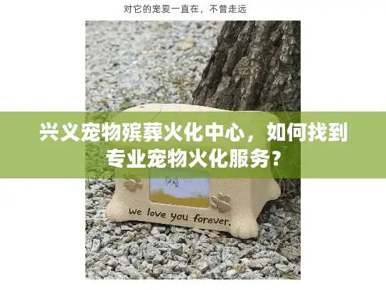 兴义宠物殡葬火化中心，如何找到专业宠物火化服务？